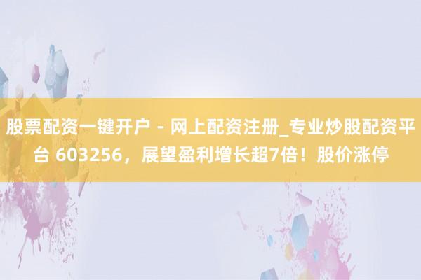 股票配资一键开户 - 网上配资注册_专业炒股配资平台 603256，展望盈利增长超7倍！股价涨停