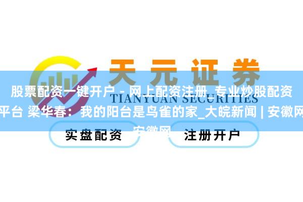 股票配资一键开户 - 网上配资注册_专业炒股配资平台 梁华春：我的阳台是鸟雀的家_大皖新闻 | 安徽网