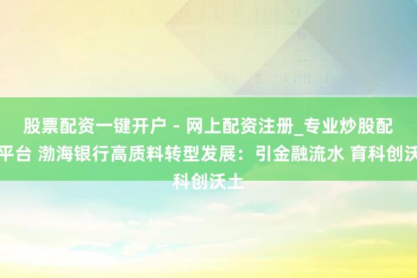 股票配资一键开户 - 网上配资注册_专业炒股配资平台 渤海银行高质料转型发展：引金融流水 育科创沃土